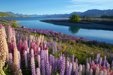 Tekapo / New Zealand Place mentioned in saved reels