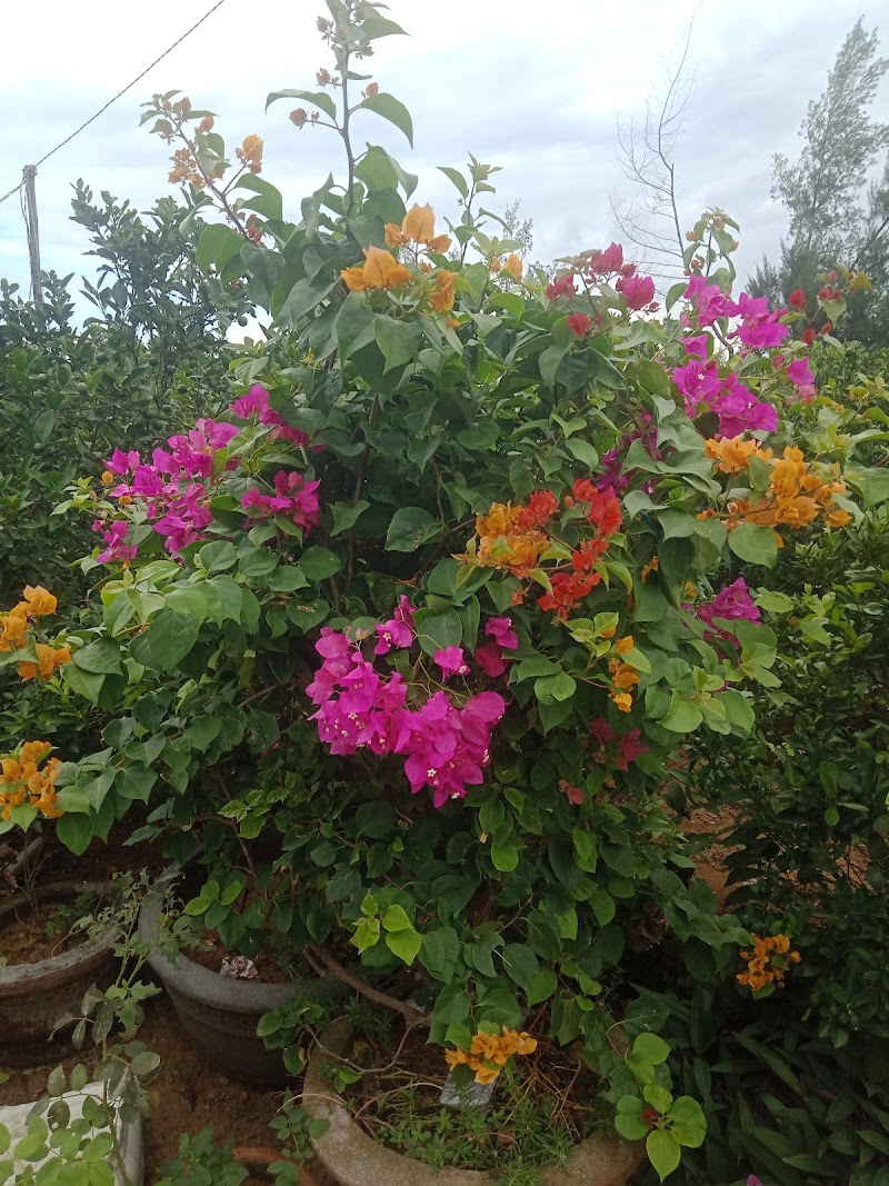 Thanh Ha Village / Hoi An