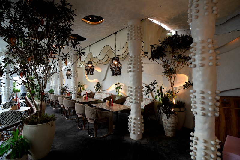 The Big Tree / Dwarka