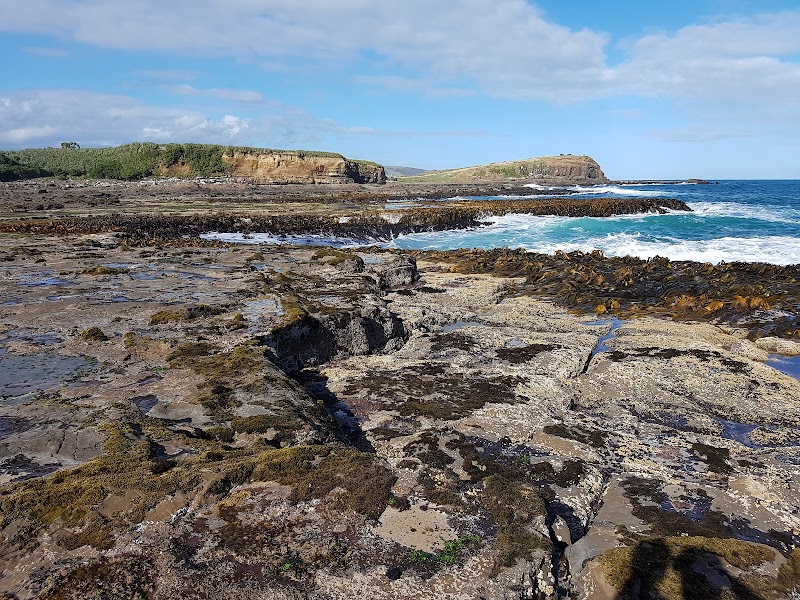 The Catlins / Southland