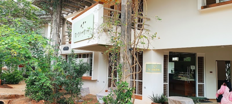 The Living Room / Auroville Place mentioned in saved reels