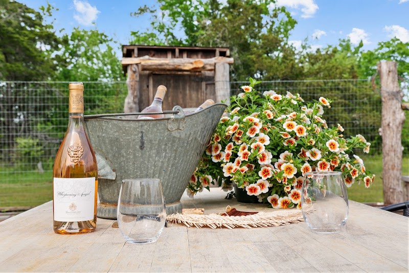 The Nest / George Town Place mentioned in saved reels