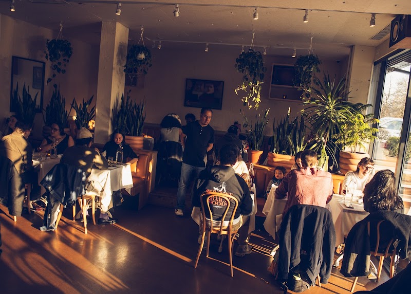 The Snail / NYC Place mentioned in saved reels