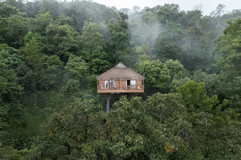The Tamara Coorg / Coorg Place mentioned in saved reels