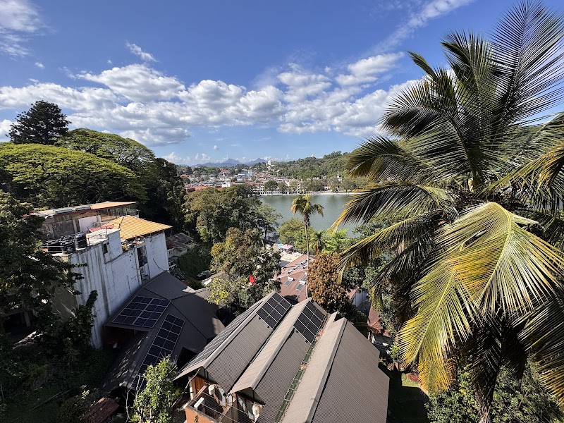 The Trees / Kandy Place mentioned in saved reels