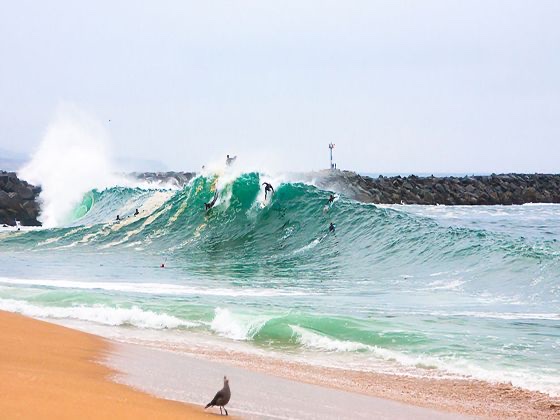 The Wedge / Newport Beach