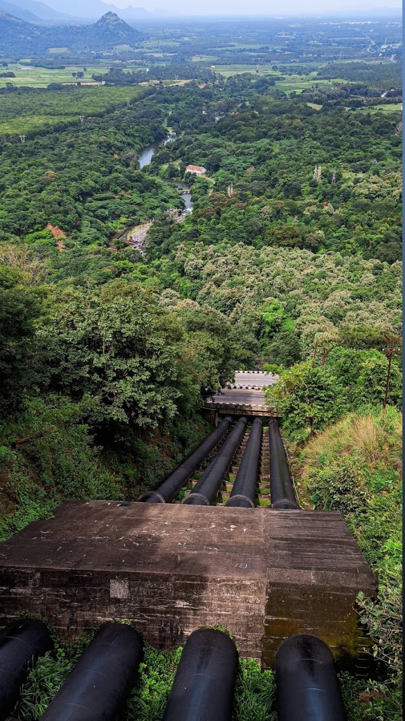 Thekkady / Kochi Place mentioned in saved reels
