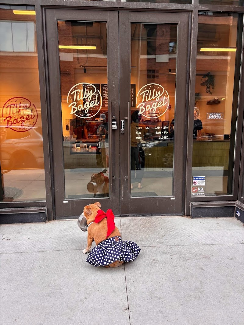 Tilly Bagel / Chicago Place mentioned in saved reels