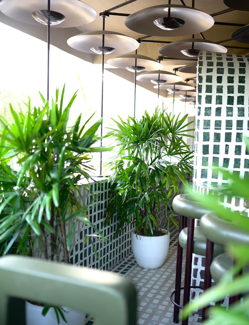 Tin-tin / Chandigarh