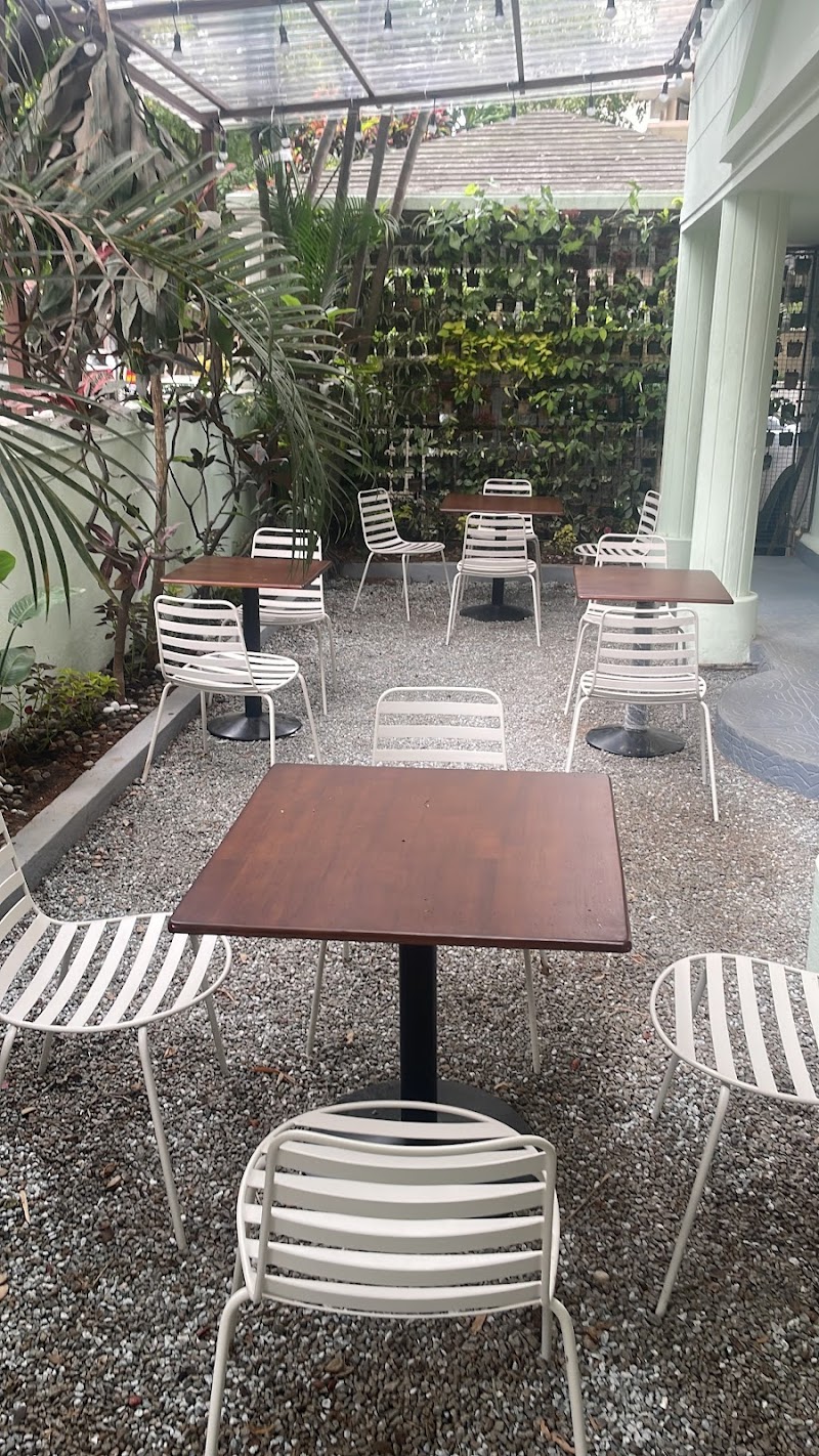 Turtle Matcha / Indiranagar