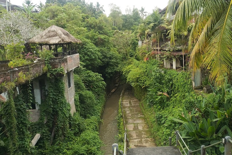 Ubud Place mentioned in saved reels