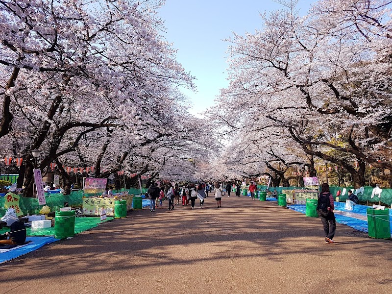 Ueno Park / Tokyo Place mentioned in saved reels