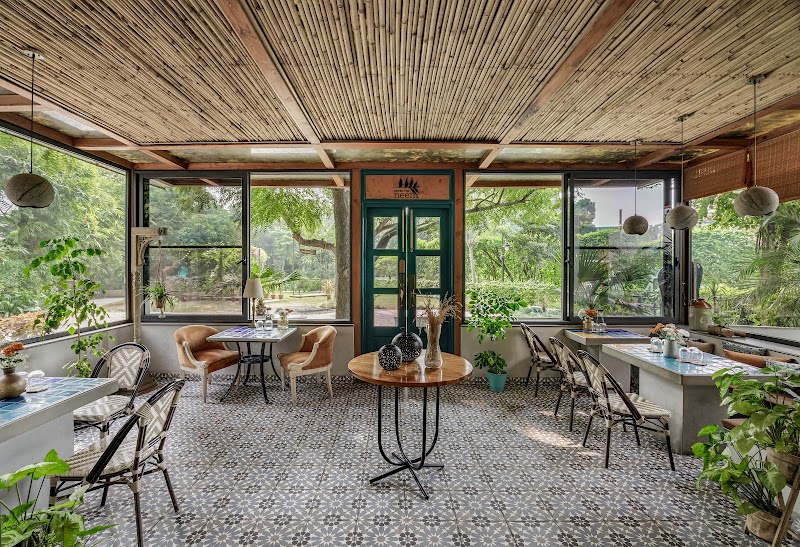 Under The Neem / Gurugram