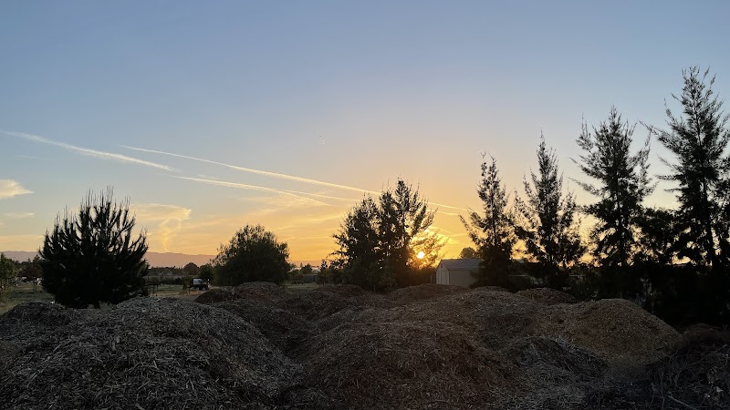 Urban Forest / Metro Pillar 195