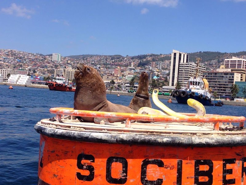 Valparaíso / Chile Place mentioned in saved reels