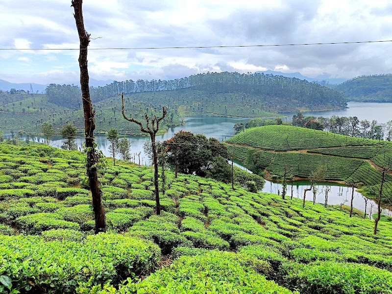 Valparai / Tamil Nadu