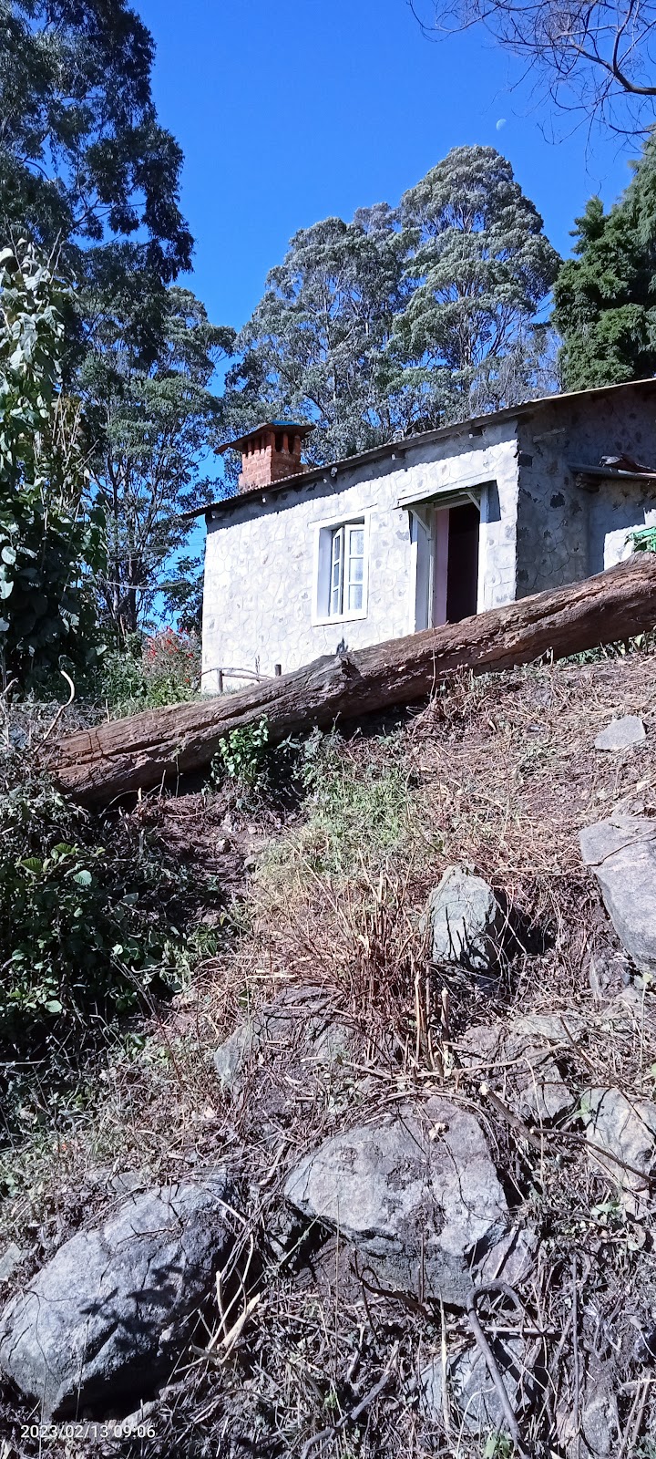 Vattakanal / Tamil Nadu