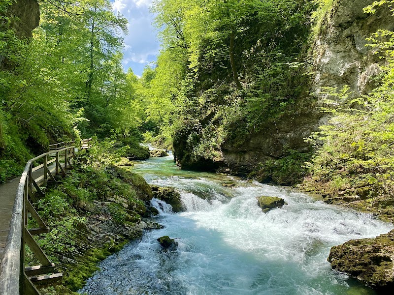 Vintgar Gorge / Slovenia Place mentioned in saved reels