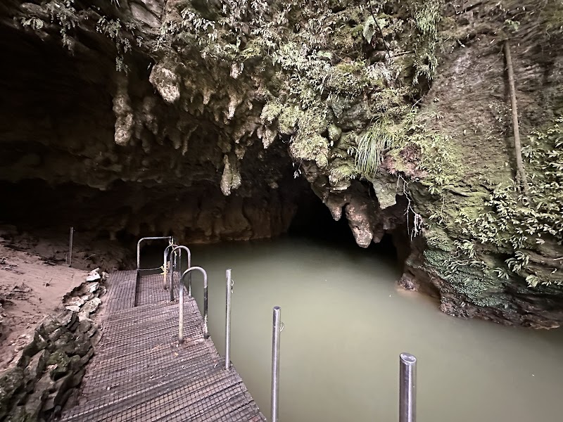 Waitomo Glowworm Caves / New Zealand Place mentioned in saved reels