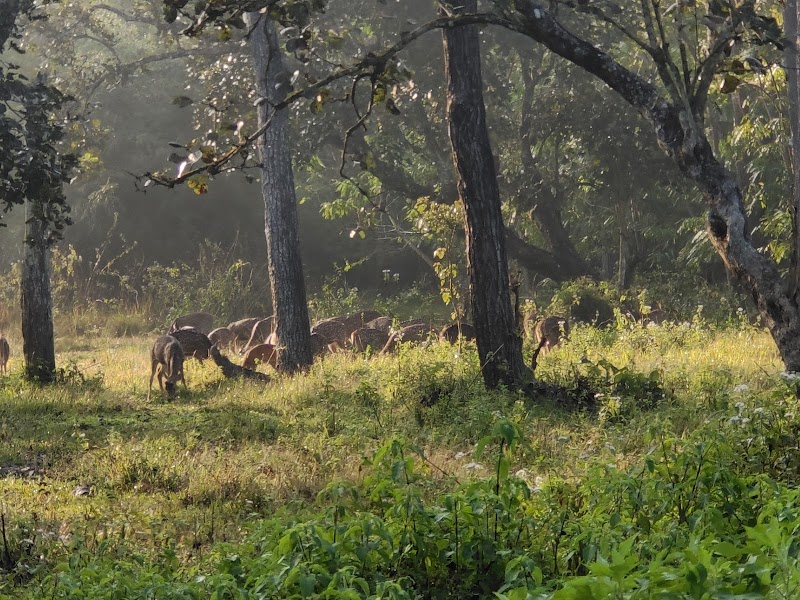Wayanad / Kochi Place mentioned in saved reels