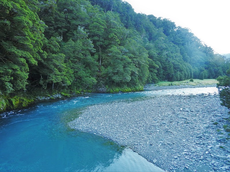 West Coast / New Zealand