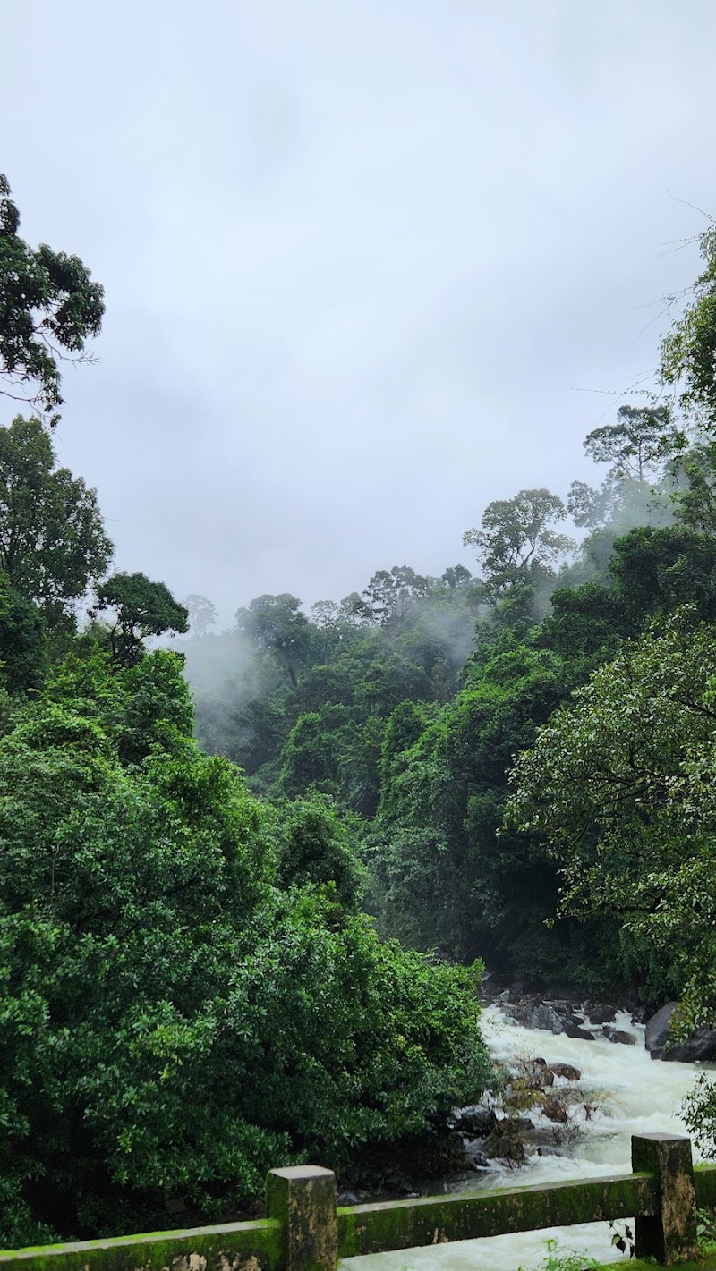 Western Ghats Line / Karnataka Place mentioned in saved reels