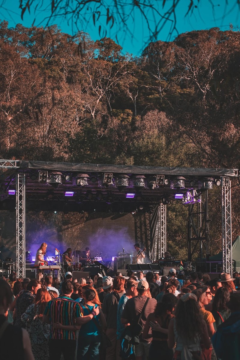 When Pigs Fly Festival / Abbotsford