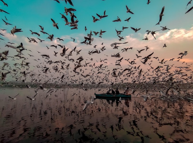 Yamuna Ghat / Delhi Place mentioned in saved reels