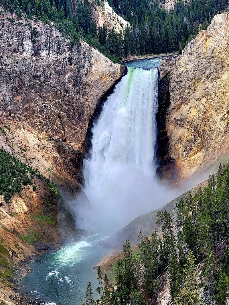 Yellowstone National Park / Wyoming Place mentioned in saved reels