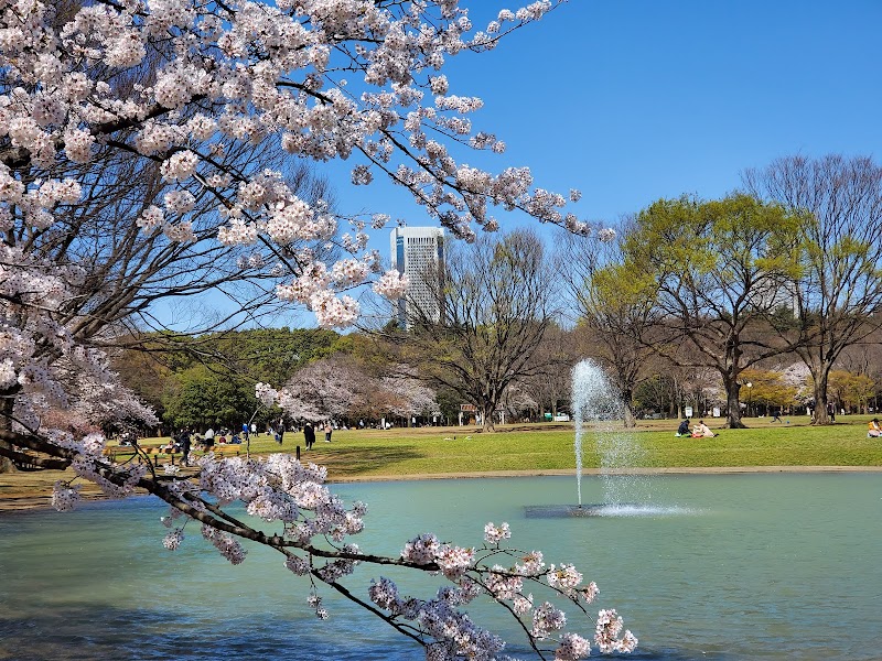 Yoyogi park / Tokyo Place mentioned in saved reels