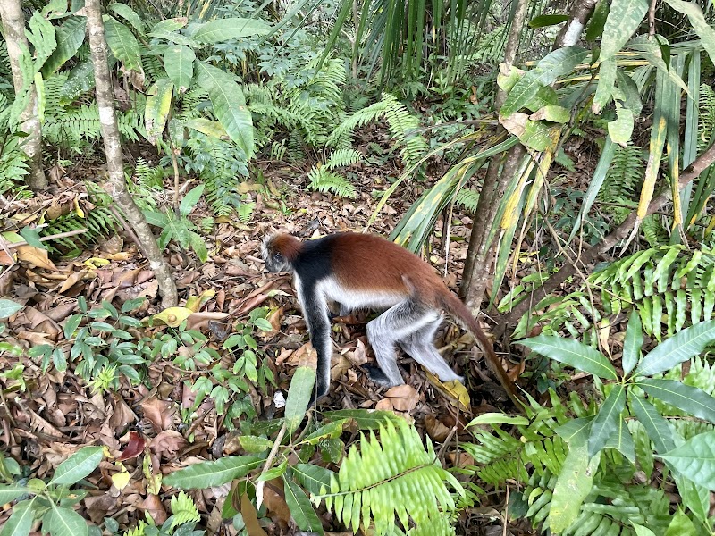 Zanzibar / Tanzania Place mentioned in saved reels