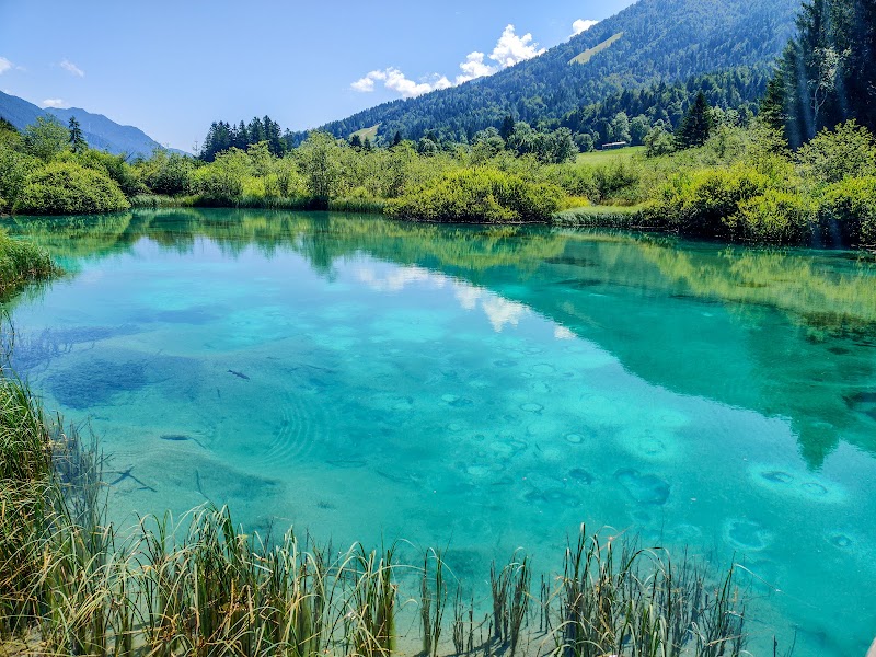 Zelenci / Slovenia Place mentioned in saved reels