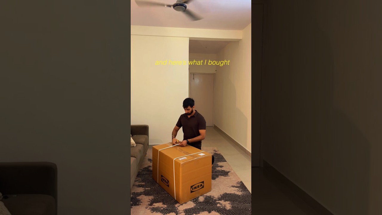New Apartment Setup