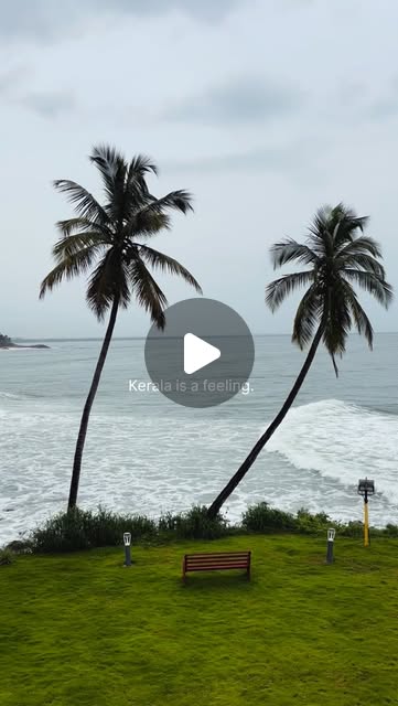 Ultimate Kerala Itinerary Guide thumbnail