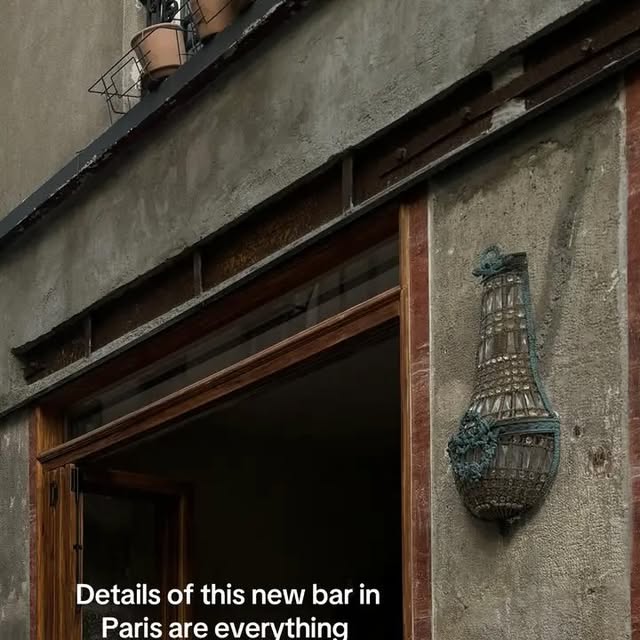Aesthetic Rojo Bar