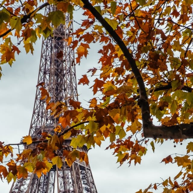 Paris Essential Travel Guide thumbnail