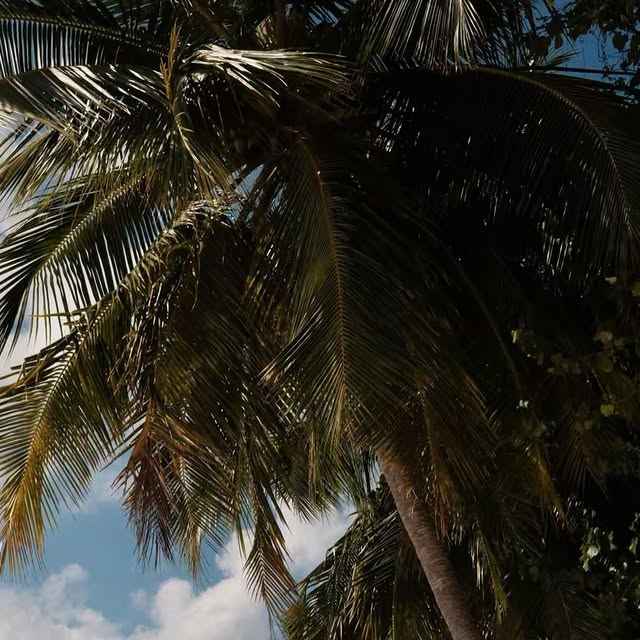 Global Bucket List thumbnail