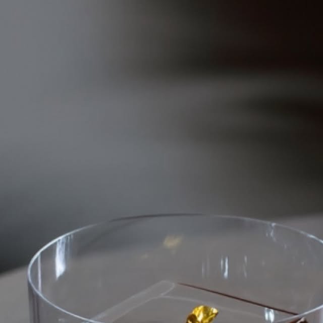 Must Visit SG Bars thumbnail