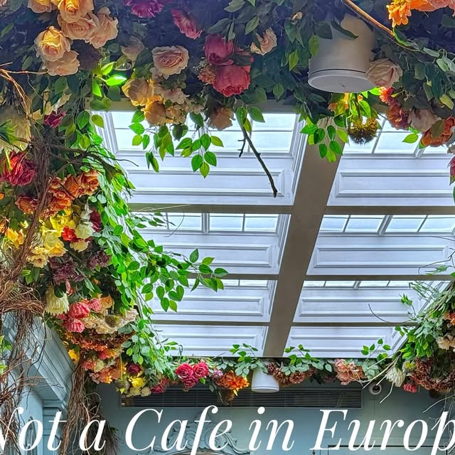 Aesthetic European Cafe thumbnail