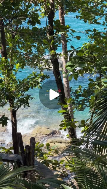 Vibrant Phuket Reccos
