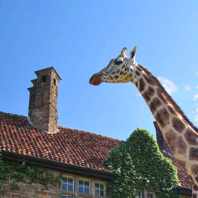 Global Bucket List Hotels thumbnail