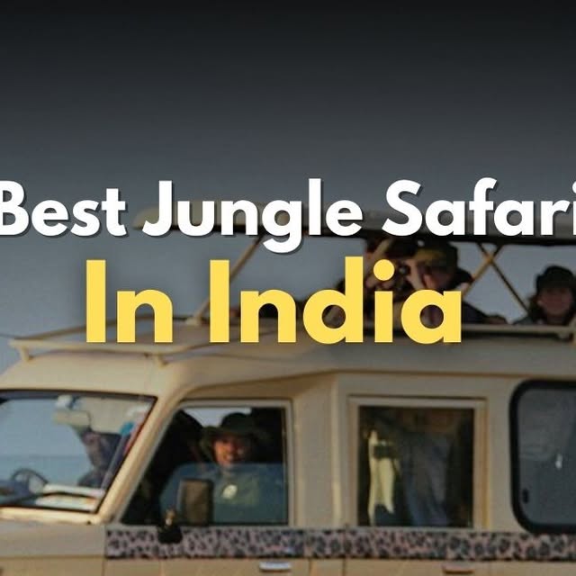 Best Indian Jungle Safaris thumbnail