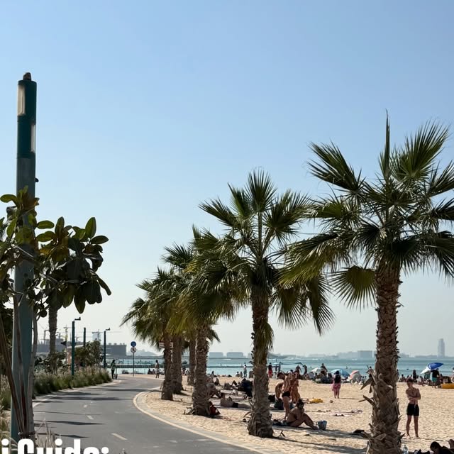 Best Dubai Cafes thumbnail