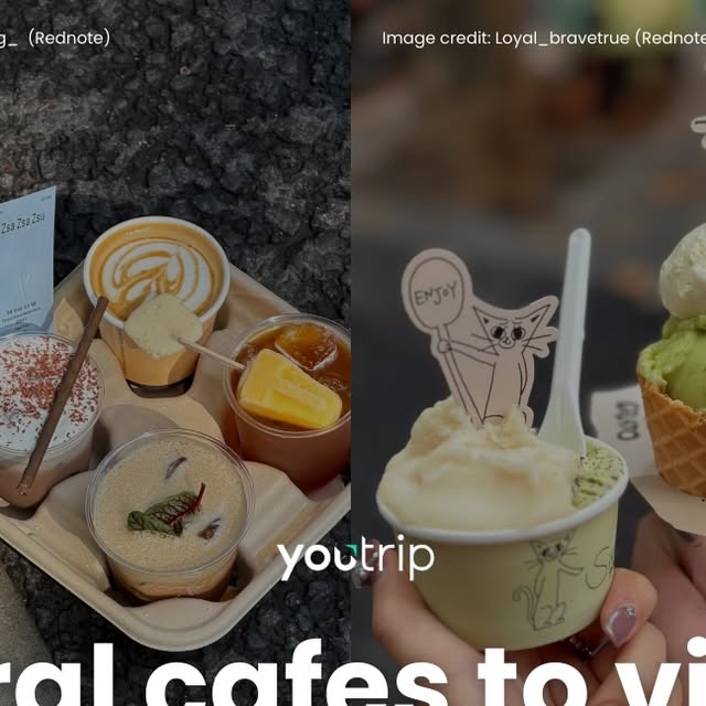 Viral Shanghai Cafes thumbnail