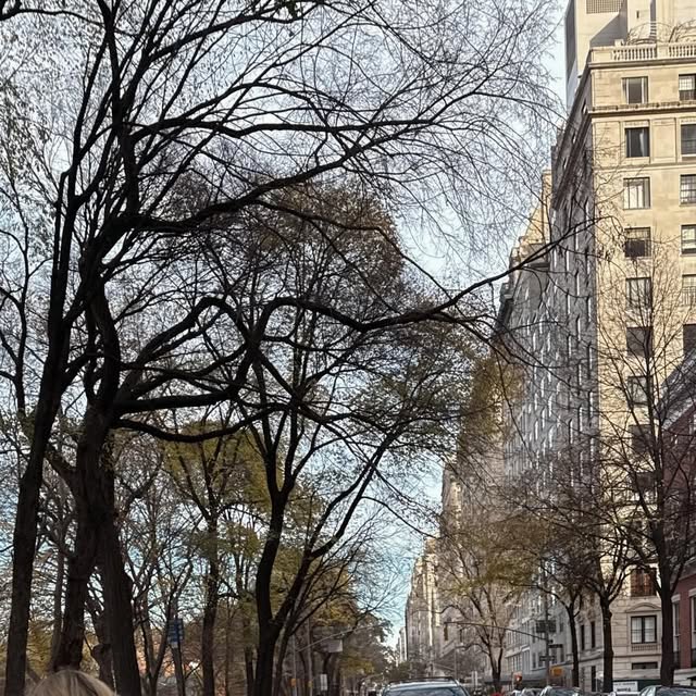 Ultimate NYC Day Trip