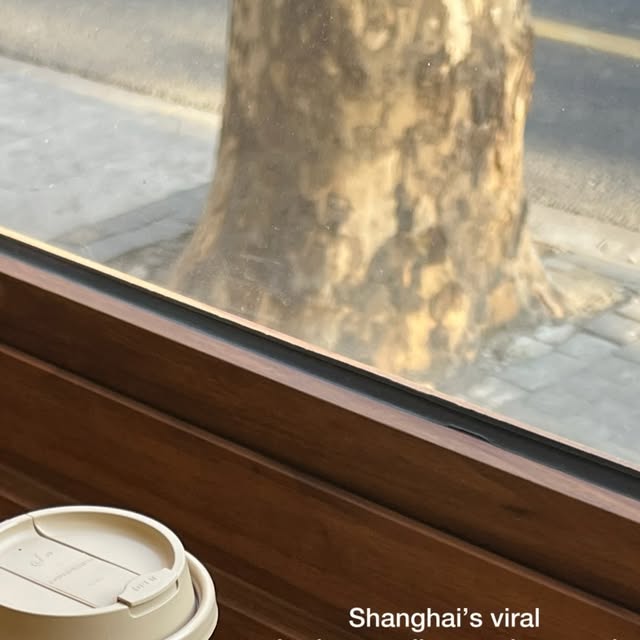 Viral Shanghai Cheesecake thumbnail