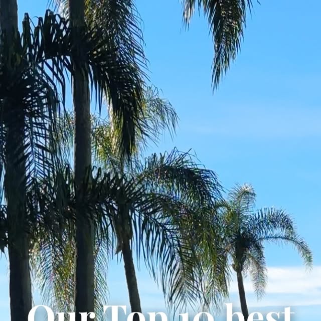 Top Brisbane Eats 2025