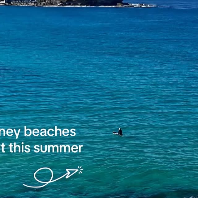 Sydney Summer Beach Guide thumbnail