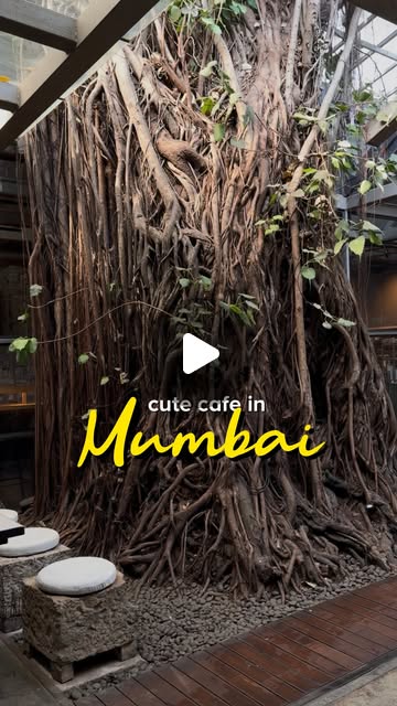 Mumbai Iconic Banyan Cafe thumbnail