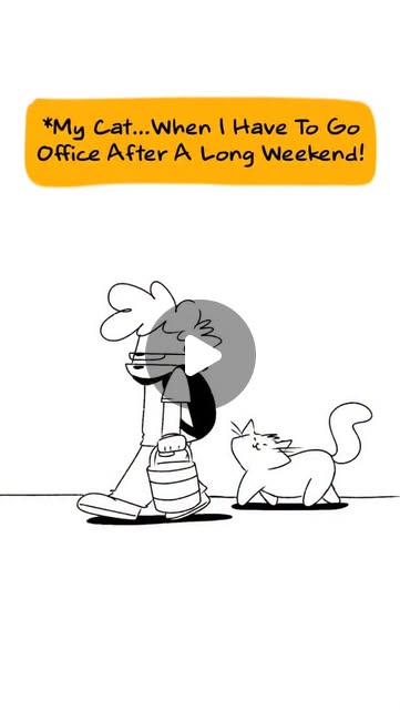 Office Cat Drama